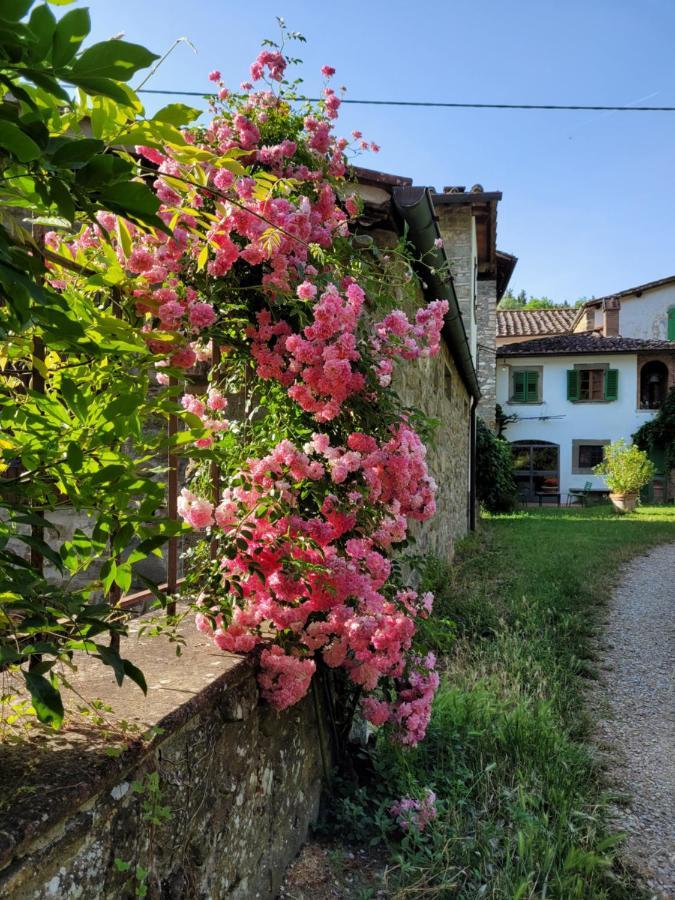 La Casa Nel Chianti Apartment Greve in Chianti Exterior foto