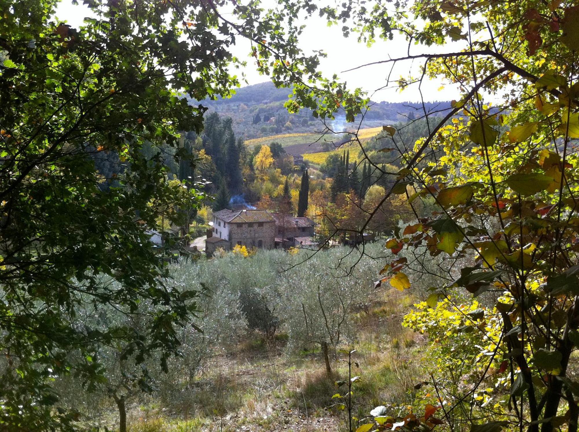 La Casa Nel Chianti Apartment Greve in Chianti Exterior foto