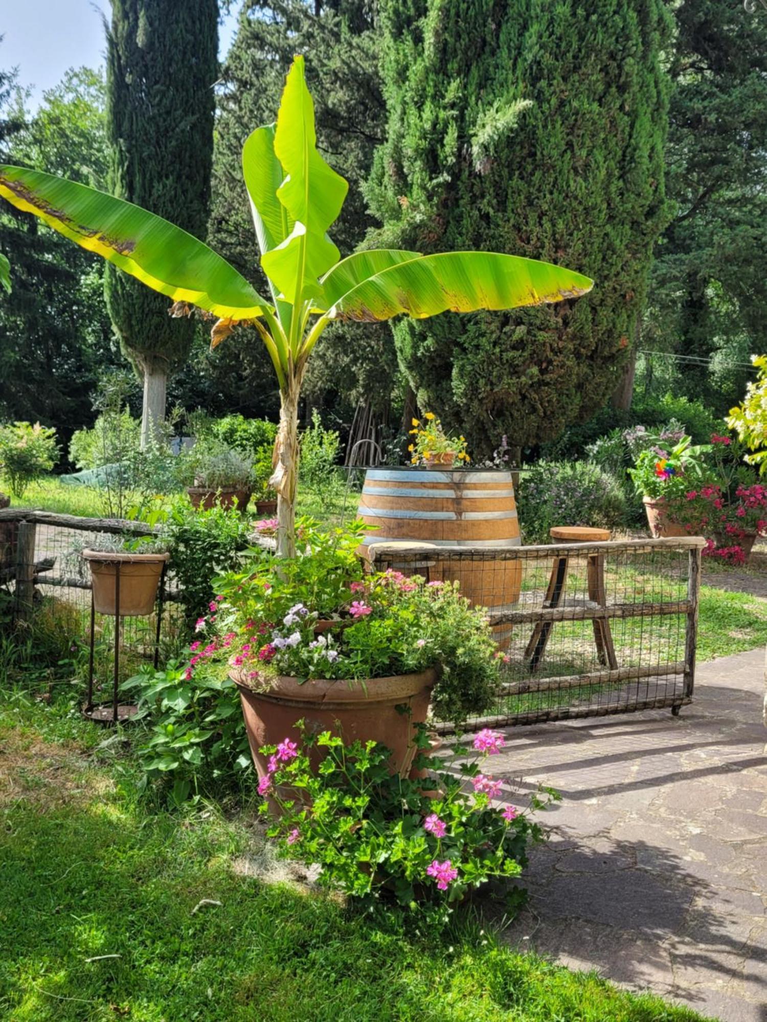 La Casa Nel Chianti Apartment Greve in Chianti Exterior foto